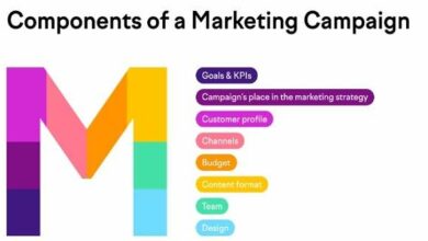What is Marketing Campaign - Definition, Types, Ideas