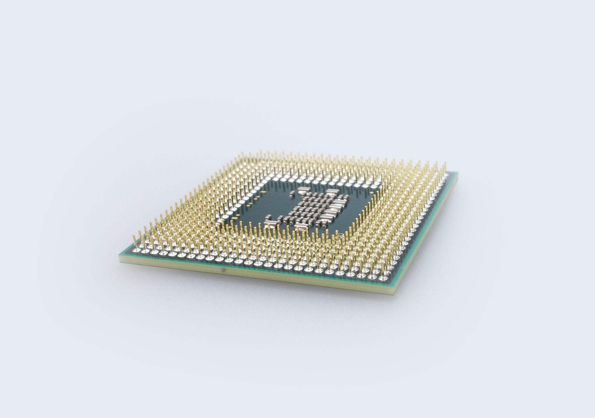 Pet Microchipping