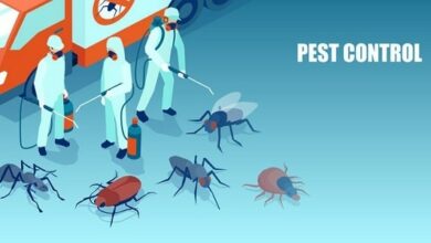 Professional Pest Management
