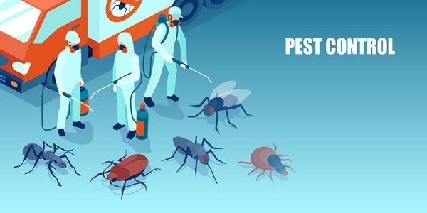 Professional Pest Management