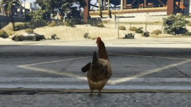 Chicken Road – The Ultimate Road Crossing Game