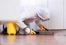 City-Specific Pest control