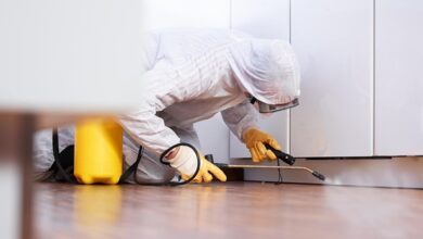 City-Specific Pest control