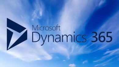 Dynamics 365 consulting services