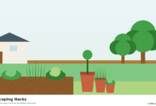 Illustrated Australian backyard with mulched beds, pots and a stepping-stone path