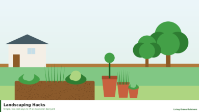 Illustrated Australian backyard with mulched beds, pots and a stepping-stone path